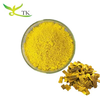 TCM alami Phellodendron Amurense Bark Extract Berberine HCL Powder
