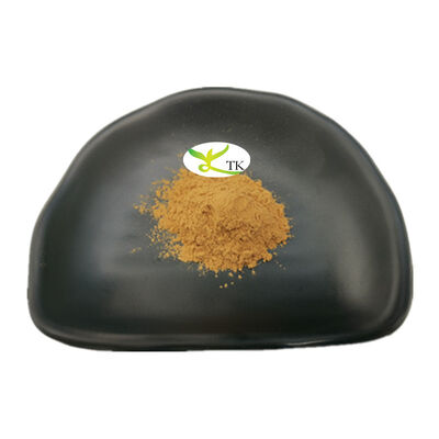 Harga Grosir Ekstrak Biji Paullinia Cupana Alami Bubuk Larut dalam Air