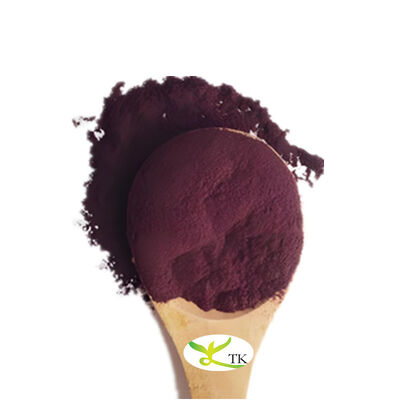 Ekstrak Blackcurrant Alami 100% Bubuk Ekstrak Blackcurrant Anthocyanidin 25%
