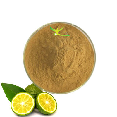 Harga Grosir Ekstrak Buah Bergamot Alami 100% 4:1 10:1 Bubuk Ekstrak Citrus Bergamot