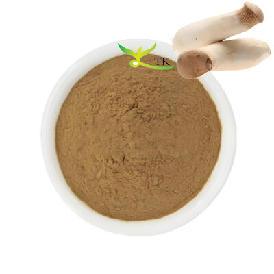 Suplemen Jamur Alami King Trumpet Jamur Ekstrak Bubuk Polysaccharides 20%
