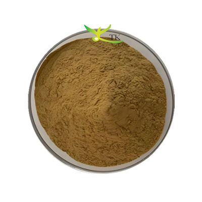 Pabrik Pasokan Bacopa Monnieri Ekstrak 40% Bacopasides Powder Brahmi Ekstrak Powder