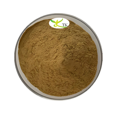 Herbal Cina Andrographis Paniculata Ekstrak Andrographolide 20% 98% CAS 5508-58-7 Andrographolide