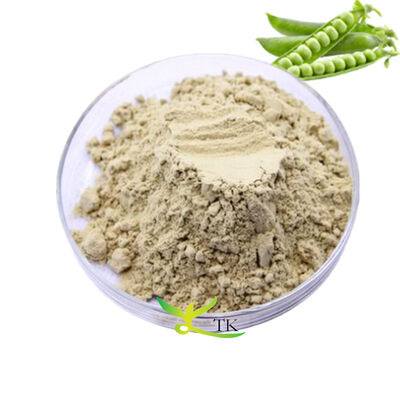 Suplemen Protein Vegan Harga Grosir Isolat Protein Kacang Polong Peptida Protein Kacang Polong Bubuk 70% 80%