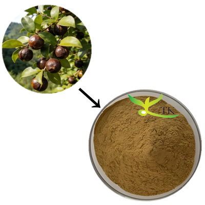 Harga Grosir 100% Ekstrak Camellia Sinensis Alami Bubuk Ekstrak Saponin Teh Untuk Kosmetik