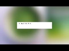 Grosir Moringa Oleifera Tea Powder Moringa Leaf Powder Kapsul Serbuk Grosir