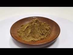 Harga Grosir 100% Ekstrak Coptis Chinensis Alami 10:1 20:1 Di stok