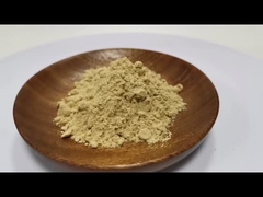 Berkualitas tinggi 100% murni alami Panax Ginseng Akar Ekstrak Ginsenosides Powder 10% ~ 80%