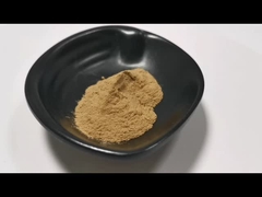 Makanan Harga Terbaik Bubuk Aloe Vera Ekstrak Aloe Vera Alami