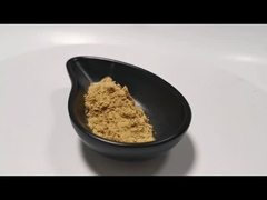 Bubuk Ekstrak Tanaman Alami Bubuk Ekstrak Jamur