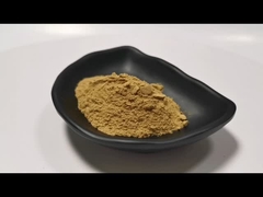 Ekstrak Centella Asiatica