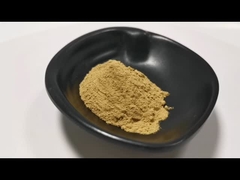 Ekstrak Citrus Aurantium