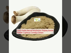 Bahan makanan alami Polysaccharide Jamur Bubuk Coprinus Comatus Extract