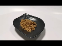 Ekstrak Teripang Laut