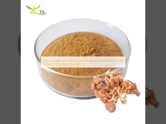 Kelas Makanan murni Pholiota alami Nameko Ekstrak Polysaccharides Powder