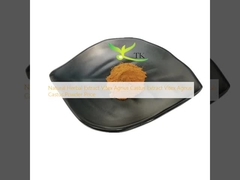 Ekstrak Herbal Alami Vitex Agnus Castus Ekstrak Vitex Agnus Castus Harga Bubuk