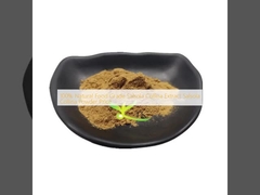 100% Bahan Makanan Alami Salsola Collina Ekstrak Salsola Collina Harga Bubuk