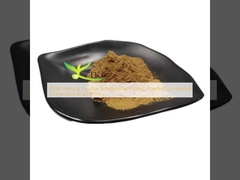 100% Ekstrak Fructus Schisandrae alami Bubuk Ekstrak Schisandra Chinensis Harga