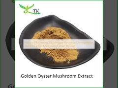 Suplemen Jamur Alami Pleurotus Citrinopileatus Golden Oyster Jamur Ekstrak Bubuk