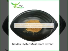 Polysaccharides Jamur Alami Pleurotus Citrinopileatus Ekstrak Bubuk Citrine Pleurotus Ekstrak