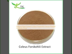 Ekstrak Tanaman Alami Coleus Forskohlii Ekstrak Bubuk Forskolin Harga