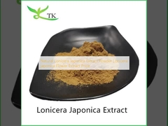 Ekstrak Lonicera Japonica alami Bubuk Lonicera japonica Bunga Ekstrak Harga