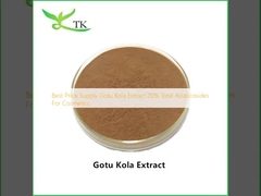 Pemasok Harga Terbaik Ekstrak Gotu Kola 20% Total Asiaticosides Untuk Kosmetik