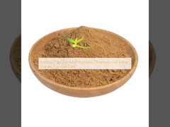 Ekstrak Tanaman Alami Platycladus Orientalis Leaf Extract Powder Untuk Perawatan Rambut