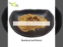 Ekstrak Tanaman Alami Ekstrak Daun Bearberry Ekstrak Daun Arctostaphylos Uva Ursi Bubuk