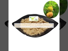 Harga terbaik 100% bahan makanan alami Rosa Roxburghii bubuk buah