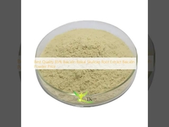 Kualitas terbaik 85% Baicalin Baikal Skullcap Root Extract Baicalin Powder Price
