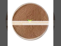 Ekstrak Daun Ekstrak Ginkgo Biloba Alami Flavonoid Ginkgo 24% Lakton 6%