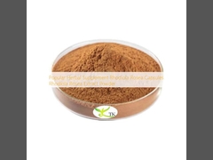 Suplemen Herbal Populer Kapsul Rhodiola Rosea Bubuk Ekstrak Rhodiola Rosea