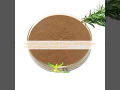 Ekstrak Tumbuhan Alami 10% 50% Bubuk Ekstrak Daun Rosemary Asam Ursolat Ekstrak Daun Rosemary