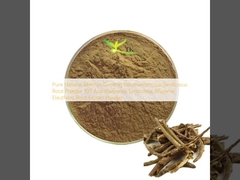 Ginseng Siberian alami murni Eleutherococcus Senticosus Bubuk Akar 10:1 Acanthopanax Senticosus Rhizome Bubuk Ekstrak Akar Eleuthero