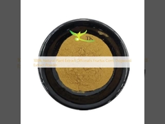 100% Ekstrak Tumbuhan Alami Officinalis Fructus Corni Dogwood Extract Powder