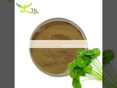17 Tahun Pabrik Supply Gotu Kola Ekstrak 10% Total Asiaticoside Powder Dalam Bulk