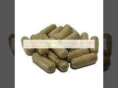 Suplemen Herbal Alami Murni Ekstrak Akar Ashwagandha Kapsul 500mg Dalam Bulk