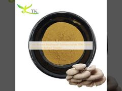 Bubuk Ekstrak Jamur Tiram Polisakarida Jamur Alami Murni 30%