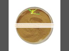 Ekstrak Tumbuhan Alami Kualitas Tinggi Bubuk Ekstrak Kesemek Putih Ekstrak Buah/Daun Kesemek