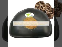 100% Bubuk Ekstrak Jamur Maitake Grifola Frondosa Alami Polisakarida Untuk Suplemen Kesehatan