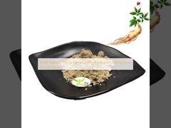 100% Ekstrak Akar Ginseng Panax Alami Bubuk Akar Ginseng Curah