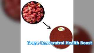 Resveratrol Kulit Anggur 5% 10% Grosir