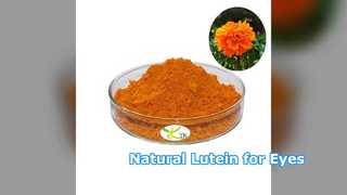 Bubuk Lutein Alami Untuk Kesehatan Mata